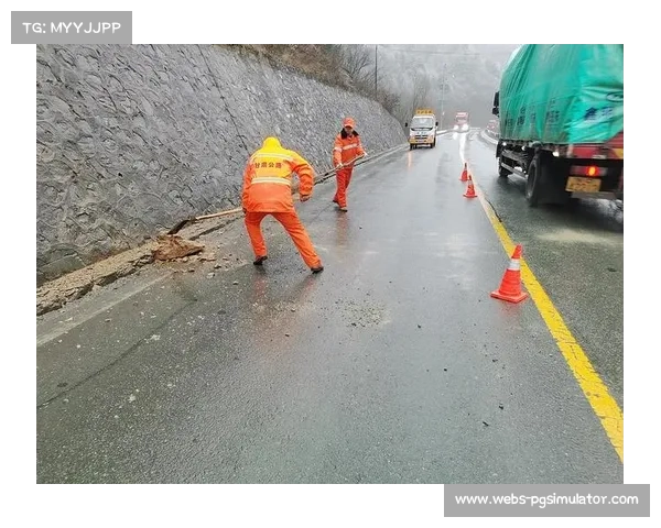 慕尼黑安联球场道路除雪，比赛顺利进行